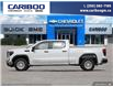 2025 GMC Sierra 1500 Pro (Stk: 25T086) in Williams Lake - Image 3 of 26