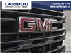 2025 GMC Sierra 1500 Pro (Stk: 25T086) in Williams Lake - Image 9 of 26