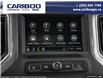 2025 GMC Sierra 1500 Pro (Stk: 25T086) in Williams Lake - Image 18 of 26