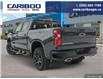 2025 Chevrolet Silverado 1500 LT Trail Boss (Stk: 25T085) in Williams Lake - Image 4 of 25