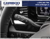 2025 Chevrolet Silverado 1500 LT Trail Boss (Stk: 25T085) in Williams Lake - Image 25 of 25
