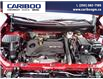 2022 Chevrolet Equinox RS (Stk: 25T059A) in Williams Lake - Image 10 of 31