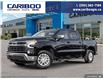 2025 Chevrolet Silverado 1500 LT (Stk: 25T082) in Williams Lake - Image 1 of 25