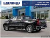 2025 Chevrolet Silverado 1500 LT (Stk: 25T082) in Williams Lake - Image 4 of 25