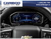 2025 Chevrolet Silverado 1500 LT (Stk: 25T082) in Williams Lake - Image 13 of 25