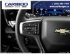 2025 Chevrolet Silverado 1500 LT (Stk: 25T082) in Williams Lake - Image 23 of 25