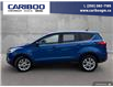2019 Ford Escape SE (Stk: 2016) in Quesnel - Image 3 of 21