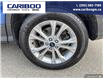 2019 Ford Escape SE (Stk: 2016) in Quesnel - Image 6 of 21