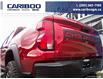 2025 Chevrolet Colorado ZR2 (Stk: 25T061) in Williams Lake - Image 11 of 31