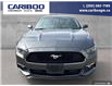 2015 Ford Mustang EcoBoost (Stk: 2015A) in Quesnel - Image 2 of 21
