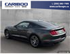 2015 Ford Mustang EcoBoost (Stk: 2015A) in Quesnel - Image 4 of 21