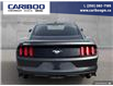 2015 Ford Mustang EcoBoost (Stk: 2015A) in Quesnel - Image 5 of 21