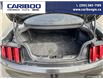 2015 Ford Mustang EcoBoost (Stk: 2015A) in Quesnel - Image 9 of 21