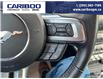 2015 Ford Mustang EcoBoost (Stk: 2015A) in Quesnel - Image 13 of 21