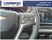 2025 Chevrolet Silverado 3500HD LT (Stk: 25T064) in Williams Lake - Image 16 of 32