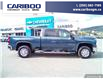 2025 Chevrolet Silverado 3500HD LT (Stk: 25T064) in Williams Lake - Image 31 of 32