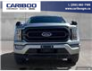 2023 Ford F-150 XLT (Stk: PO2288) in Dawson Creek - Image 2 of 25