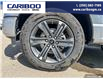 2023 Ford F-150 XLT (Stk: PO2288) in Dawson Creek - Image 6 of 25