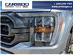 2023 Ford F-150 XLT (Stk: PO2288) in Dawson Creek - Image 8 of 25