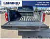 2023 Ford F-150 XLT (Stk: PO2288) in Dawson Creek - Image 12 of 25