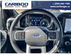 2023 Ford F-150 XLT (Stk: PO2288) in Dawson Creek - Image 14 of 25