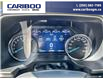 2023 Ford F-150 XLT (Stk: PO2288) in Dawson Creek - Image 15 of 25