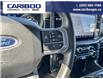 2023 Ford F-150 XLT (Stk: PO2288) in Dawson Creek - Image 16 of 25