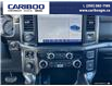 2023 Ford F-150 XLT (Stk: PO2288) in Dawson Creek - Image 19 of 25