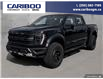 2023 Ford F-150 Raptor (Stk: 25T016A) in Quesnel - Image 1 of 22