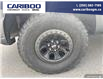 2023 Ford F-150 Raptor (Stk: 25T016A) in Quesnel - Image 6 of 22