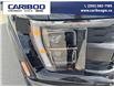 2023 Ford F-150 Raptor (Stk: 25T016A) in Quesnel - Image 9 of 22