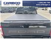 2023 Ford F-150 Raptor (Stk: 25T016A) in Quesnel - Image 10 of 22