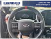 2023 Ford F-150 Raptor (Stk: 25T016A) in Quesnel - Image 12 of 22