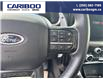 2023 Ford F-150 Raptor (Stk: 25T016A) in Quesnel - Image 14 of 22