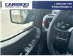 2023 Ford F-150 Raptor (Stk: 25T016A) in Quesnel - Image 15 of 22