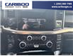 2023 Ford F-150 Raptor (Stk: 25T016A) in Quesnel - Image 17 of 22