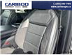 2023 Ford F-150 Raptor (Stk: 25T016A) in Quesnel - Image 19 of 22