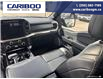 2023 Ford F-150 Raptor (Stk: 25T016A) in Quesnel - Image 22 of 22