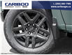 2025 Chevrolet Silverado 1500 Custom Trail Boss (Stk: 25T103) in Williams Lake - Image 7 of 23
