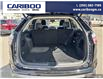2023 Ford Edge SEL (Stk: 3023) in Quesnel - Image 10 of 22