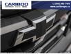 2025 Chevrolet Colorado Trail Boss (Stk: 25T114) in Williams Lake - Image 9 of 24