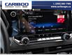 2025 Chevrolet Colorado Trail Boss (Stk: 25T114) in Williams Lake - Image 14 of 24