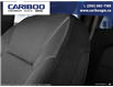 2025 Chevrolet Colorado Trail Boss (Stk: 25T114) in Williams Lake - Image 16 of 24