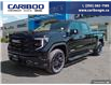 2025 GMC Sierra 1500 Elevation (Stk: 25T102) in Williams Lake - Image 1 of 33