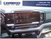 2025 GMC Sierra 1500 Elevation (Stk: 25T102) in Williams Lake - Image 19 of 33