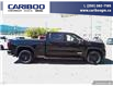2025 GMC Sierra 1500 Elevation (Stk: 25T102) in Williams Lake - Image 30 of 33