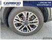 2021 Ford Escape SEL (Stk: 24S047A) in Quesnel - Image 6 of 21