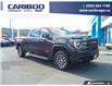 2023 GMC Sierra 1500 AT4 (Stk: 25T118A) in Williams Lake - Image 27 of 27
