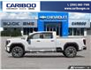 2026 GMC Sierra 3500HD Denali (Stk: 26T060) in Williams Lake - Image 3 of 25