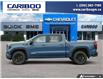 2026 GMC Sierra 1500 Elevation (Stk: 26T085) in Williams Lake - Image 3 of 24